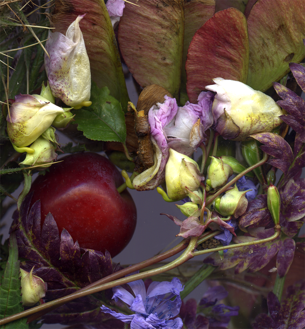 July 23 Detail of gathered materials