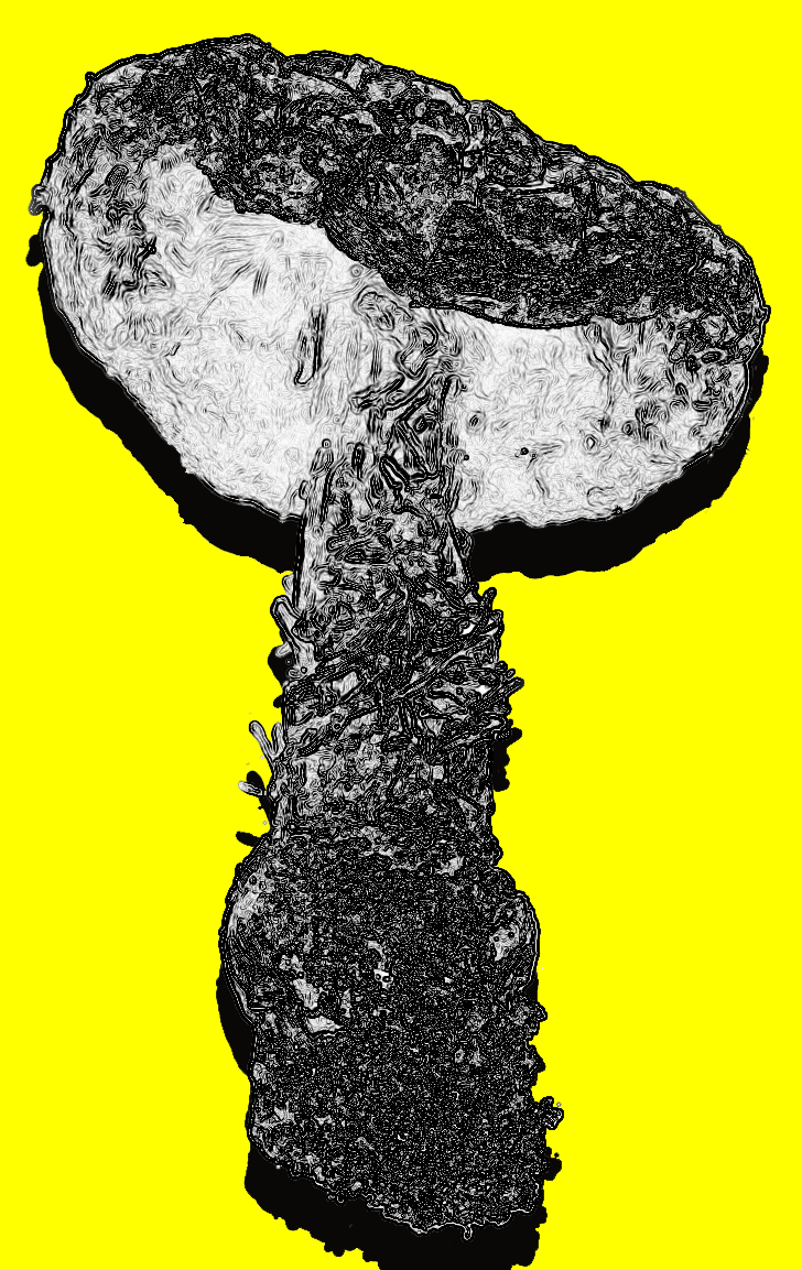 Mushroom Shape